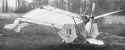 1909 Demoiselle.jpg (84318 bytes)
